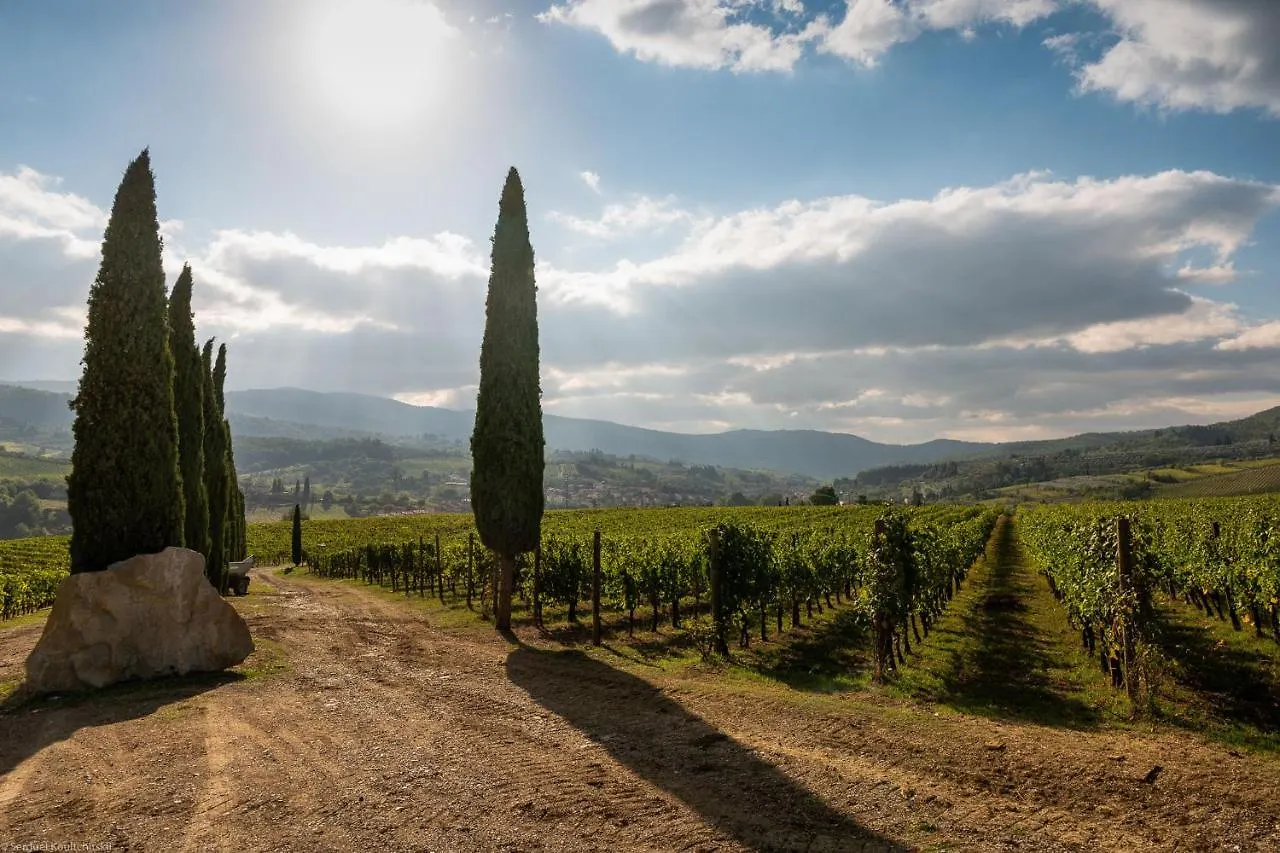 Farm stay Viticcio Villa Greve in Chianti Italy