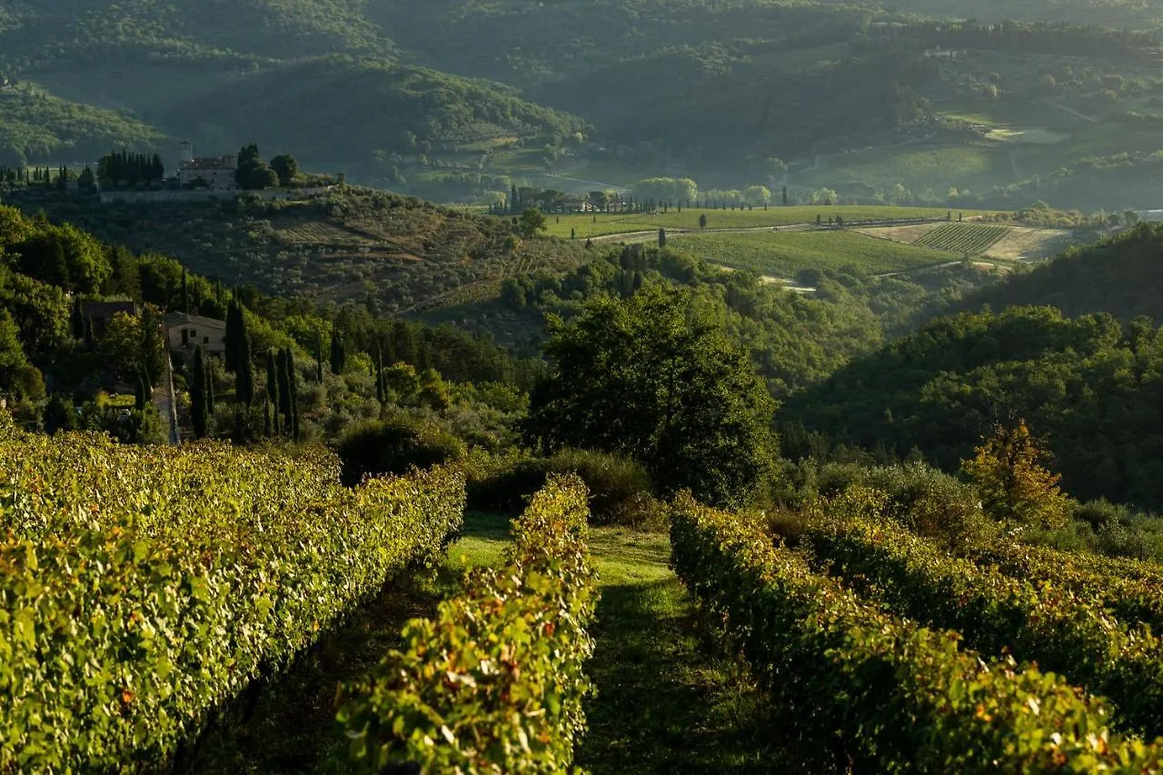 Farm stay Viticcio Villa Greve in Chianti