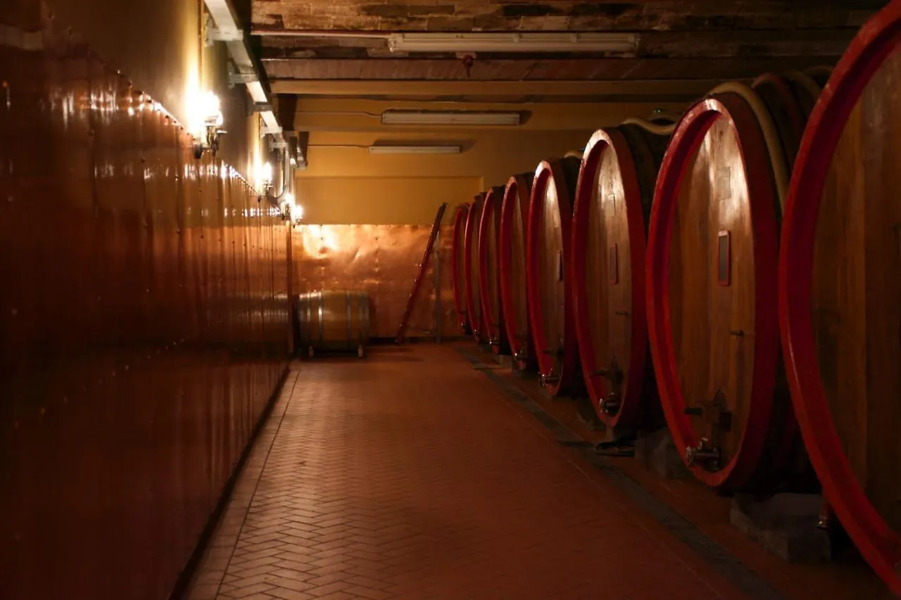 Farm stay Viticcio Villa Greve in Chianti