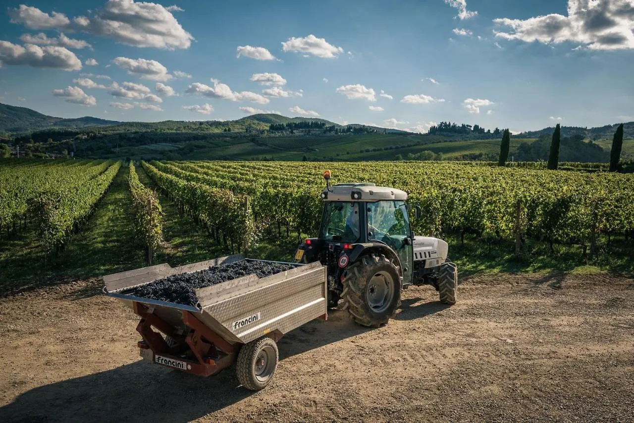 Viticcio Villa Greve in Chianti